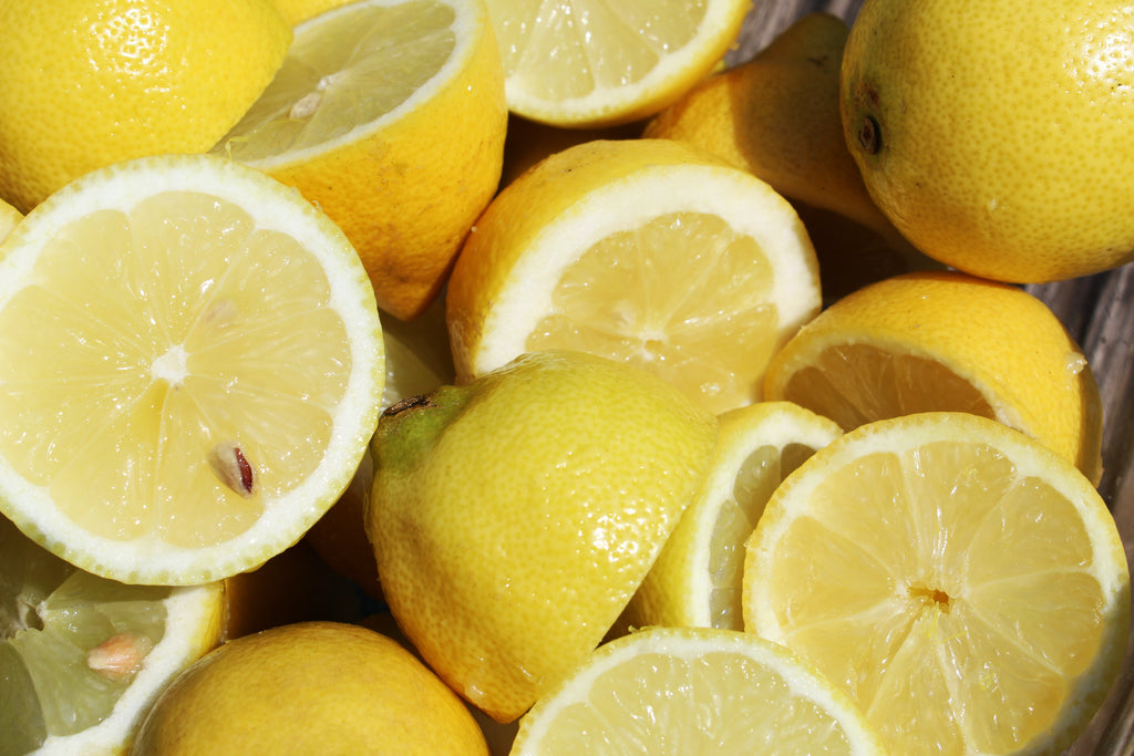 Recipe: Kombucha Lemon Gummies