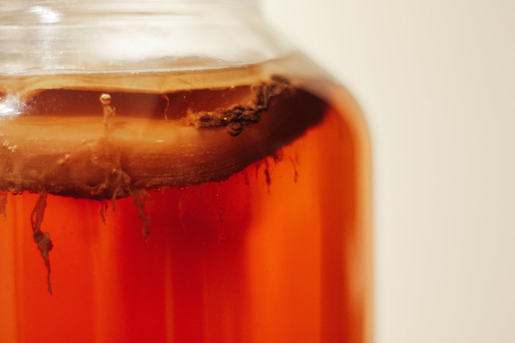 How To Brew Your Own Kombucha at Home